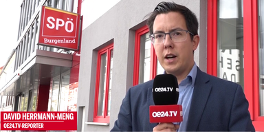 David Herrmann-Meng Burgenland Wahlen.png