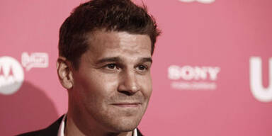 David Boreanaz