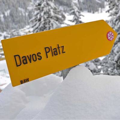 Davos 2012: Reich trifft mächtig