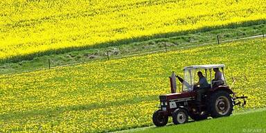 Debatte über Einheitswerte in der Landwirtschaft