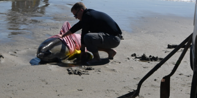 Sea Isle Times/Facebook