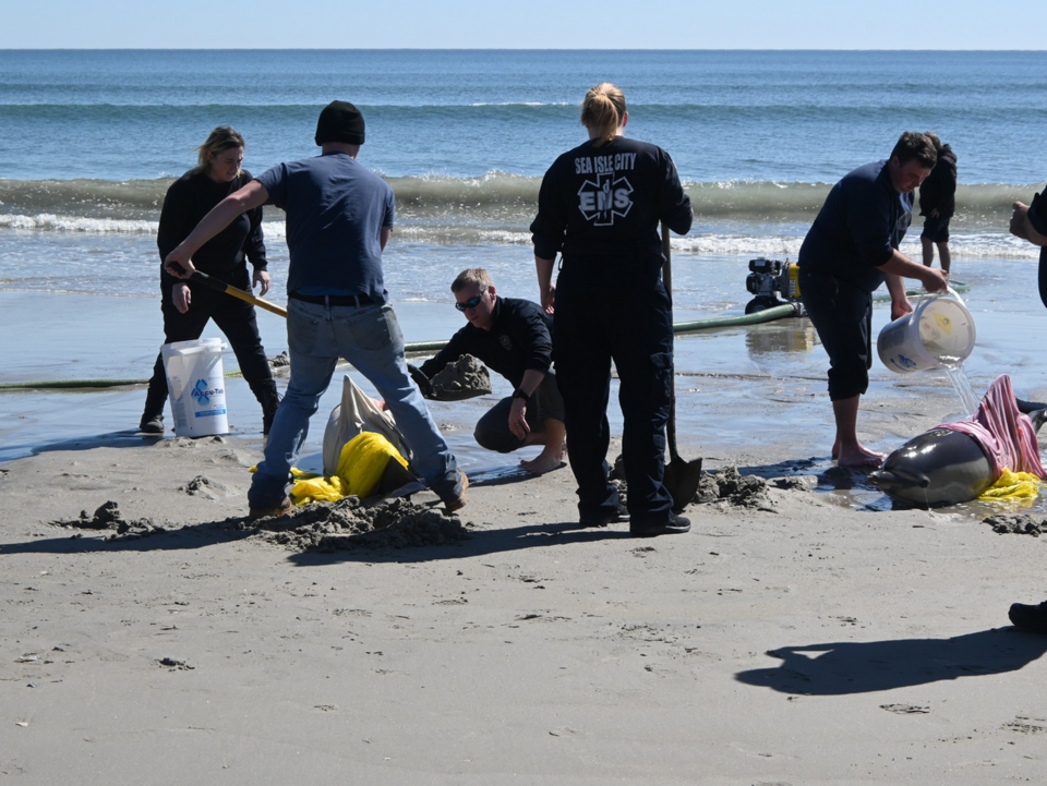 Sea Isle Times/Facebook