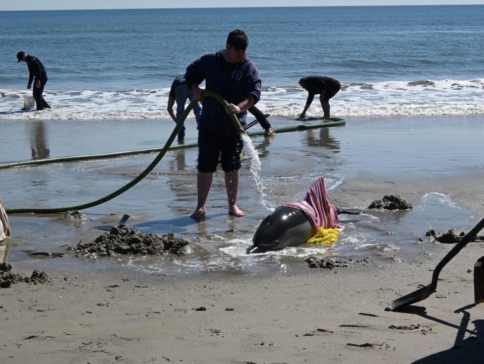 Sea Isle Times/Facebook