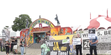 Demo Circus Safari.PNG