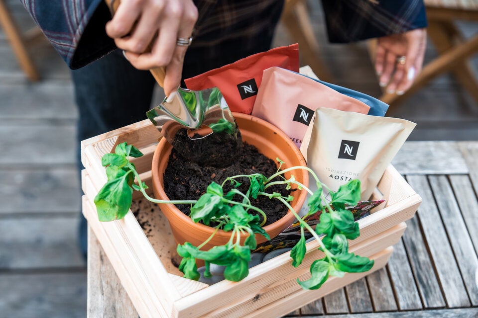 Kaffeesatz liefert wertvolle Nährstoffe im Kompost