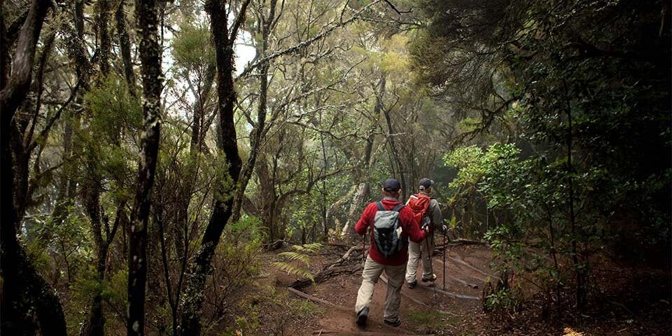Überwintern im besten Klima der Welt