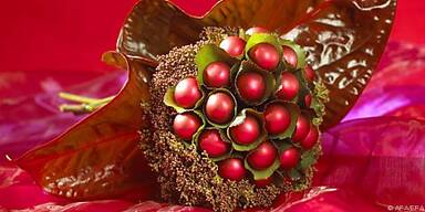 Der Zauberball - Blickfang im Advent