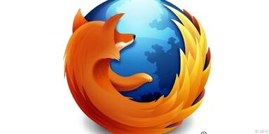 Der schlaue Fuchs schl&auml;gt wieder zu