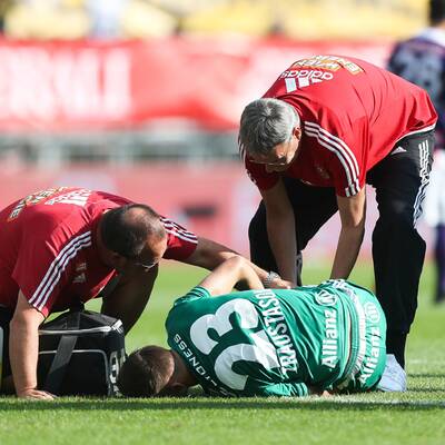 Die Bilder zum 318. Wiener Derby