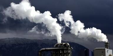 Derzeit werden 14 Euro pro Tonne bezahlt