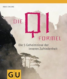 Buch Die-Qi-Formel