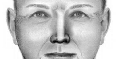 Polizei fahndet nach Einschleichdieben