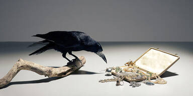 100 Jahre alte Goldarmbanduhren gestohlen