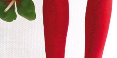 BLICKFANG 09 in Wien