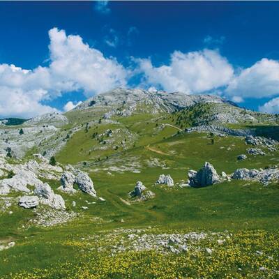 Wandern im Dianara Naturpark