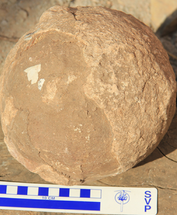 Dhiman et al., 2023, PLOS ONE, CC-BY 4.0