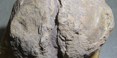 Dhiman et al., 2023, PLOS ONE, CC-BY 4.0