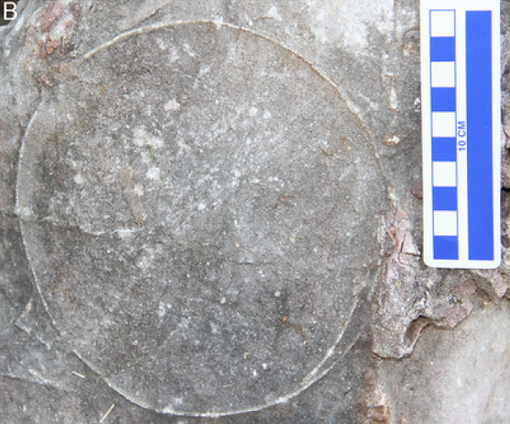 Dhiman et al., 2023, PLOS ONE, CC-BY 4.0