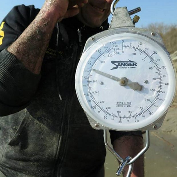 Dino Ferrari fängt 127-kg-Monsterwels