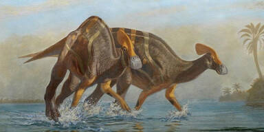 Sensation: Forscher entdecken neue Dinosaurier-Art