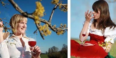 Kulinarische Herbstfeste in Nieder&ouml;sterreich