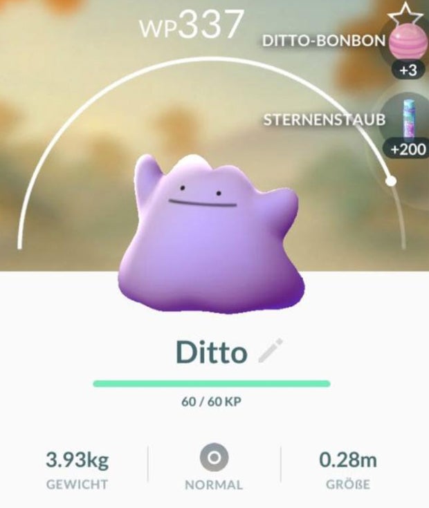 Ditto