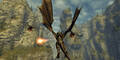 Divinity2_Website_Combat_Shot_001