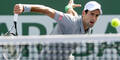 Djokovic ringt Federer nieder