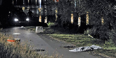 Donauinsel-Mord: Verdächtiger gefasst