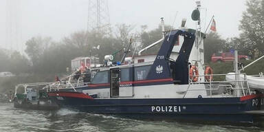 Schubverband rammt Donaurollf&auml;hre bei Klosterneuburg