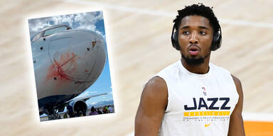 Donovan Mitchell und Flugzeugbild von Vogel-Kollision