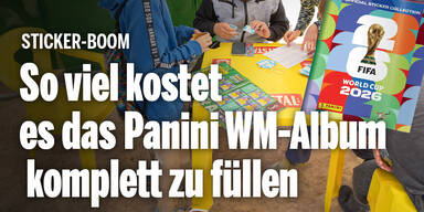 Panini Sticker Album