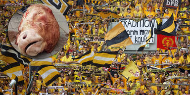 Dresden Fans