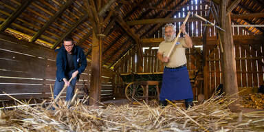 Drischl dresch’n und Kukuruz auslös’n im Museumsdorf Niedersulz