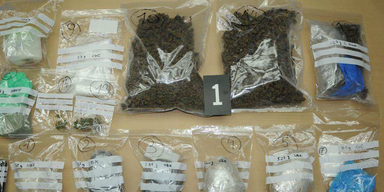 Landespolizeidirektion Salzburg Titel