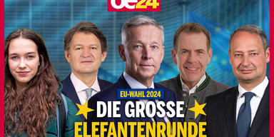 ELEFANTENRUNDE EU WAHL 2024.png