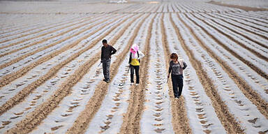 2 Millionen von Trinkwasser-Mangel bedroht