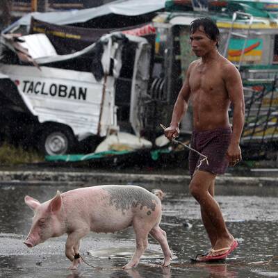 Haiyan brachte Chaos und Verzweiflung