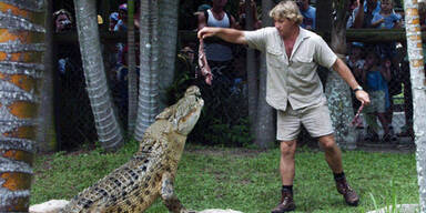 Kameramann filmte Todesstich an Irwin