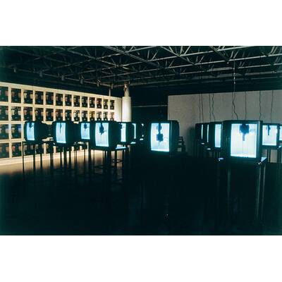 Video-Installation 