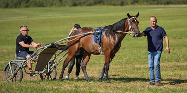 "Tombola from Hell": Badener Trabrennverein hat DIESEN Hauptpreis ausgelobt