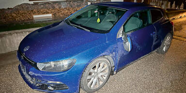 Halbnackter fl&uuml;chtete mit Auto und Pferd vor Polizei