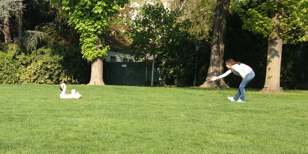 Das steckt hinter dem Känguru im Stadtpark