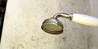 Ecken und Fugen sind beim Schimmel beliebt