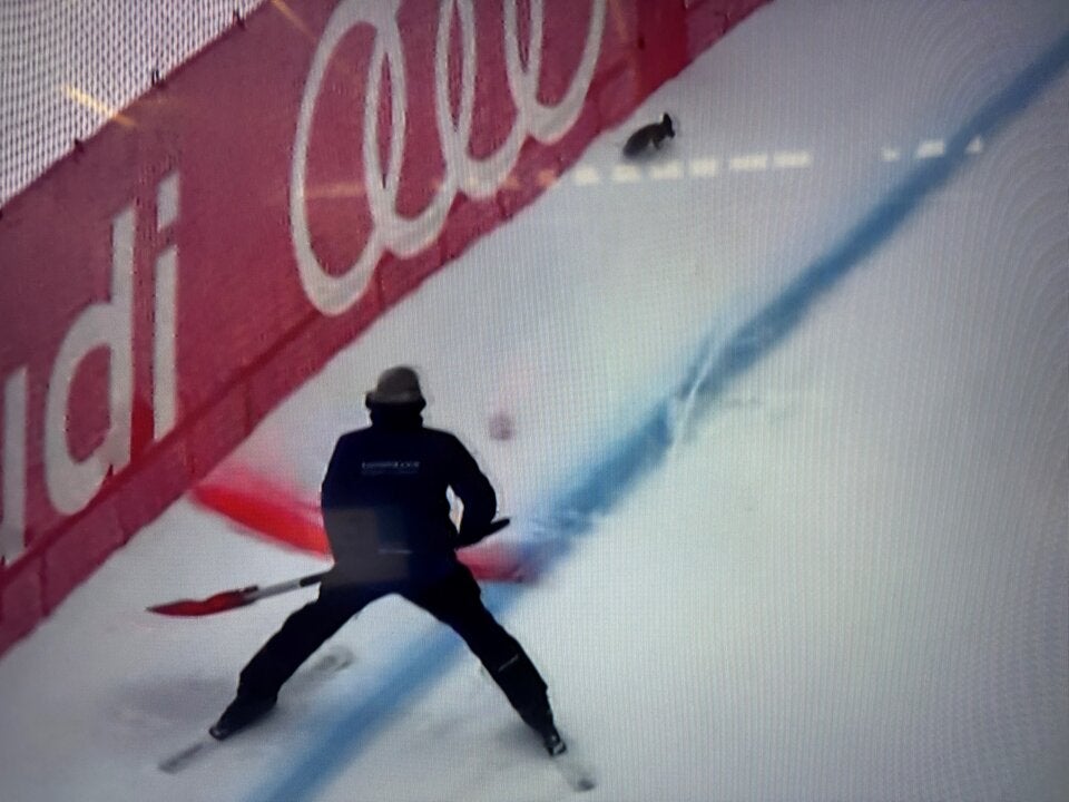 Aufregung beim 1. Training in Kitzbühel: Eichhörnchen sorgt für Unterbrechung