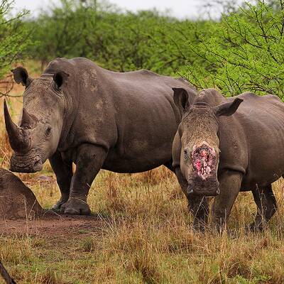 WWF-Experte Georg Scattolin und Ranger im Kui Buri Nationalpark