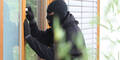 Einbrecher Diebstahl Einbruch
