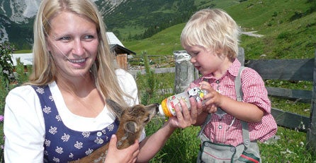 Eine_Jause_für's_Rehkitz