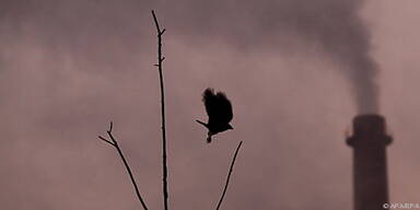 Einigung noch in weiter Ferne