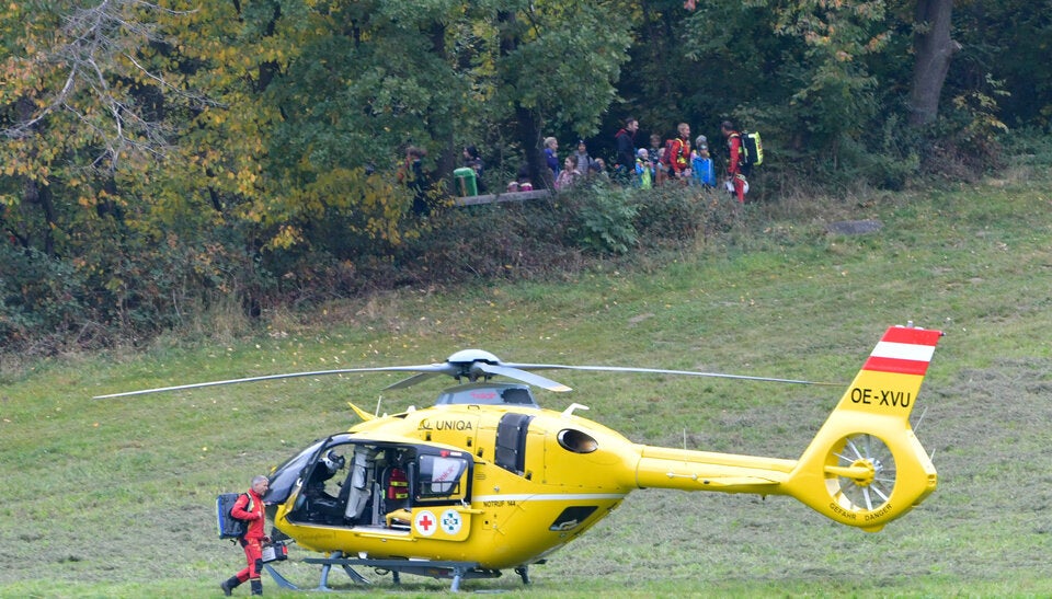Erdwespen attacke tirol